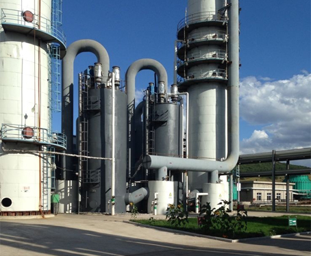 内蒙古阜丰生物